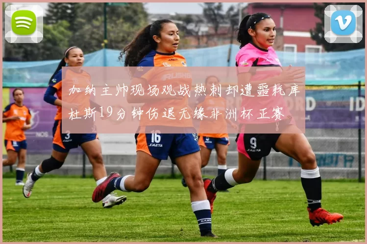 加纳主帅现场观战热刺却遭噩耗库杜斯19分钟伤退无缘非洲杯正赛